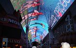 Night Tour